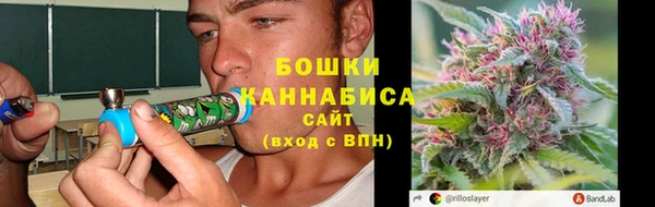сатива Сосновоборск