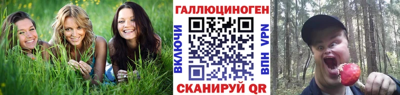 darknet клад  Зеленогорск  Галлюциногенные грибы Magic Shrooms 